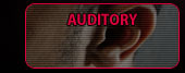 Auditory Products Button Button